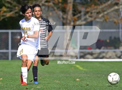 Thumbnail 2 in Stonington @ Fitch photogallery.