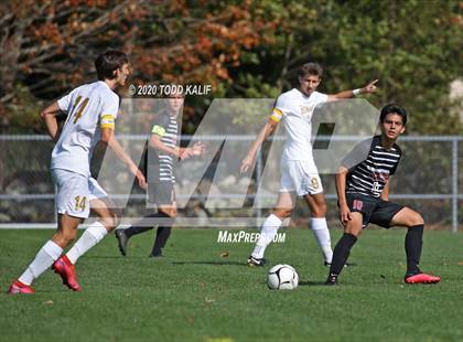 Thumbnail 1 in Stonington @ Fitch photogallery.