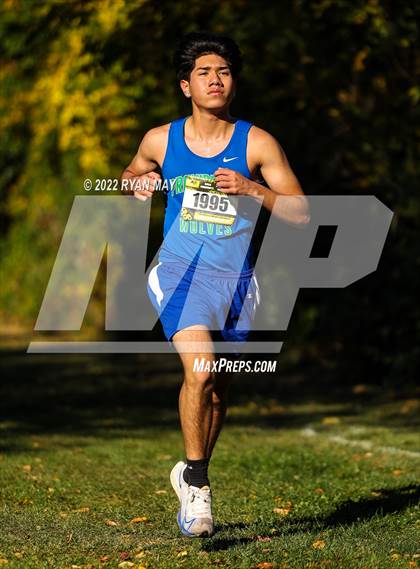 Thumbnail 3 in IHSAA Boys Cross Country Sectionals photogallery.