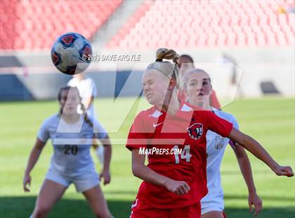 Thumbnail 3 in American Fork vs Davis (UHSAA 6A Final) photogallery.
