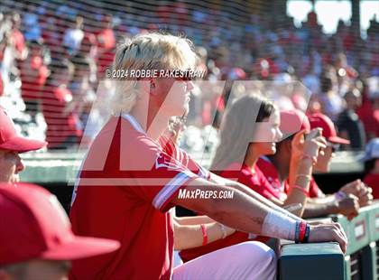Thumbnail 1 in Pearland vs. Tomball (UIL 6A Baseball Final) photogallery.