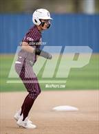 Photo from the gallery "Live Oak @ Central"
