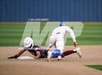 Photo from the gallery "Live Oak @ Central"