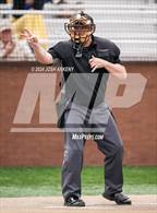 Photo from the gallery "Live Oak @ Central"