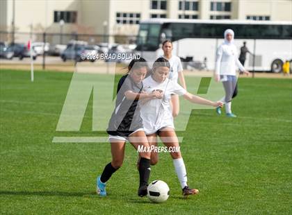 Thumbnail 3 in Albertville @ Baker photogallery.