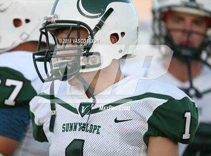 Thumbnail 1 in Sunnyslope @ Agua Fria photogallery.