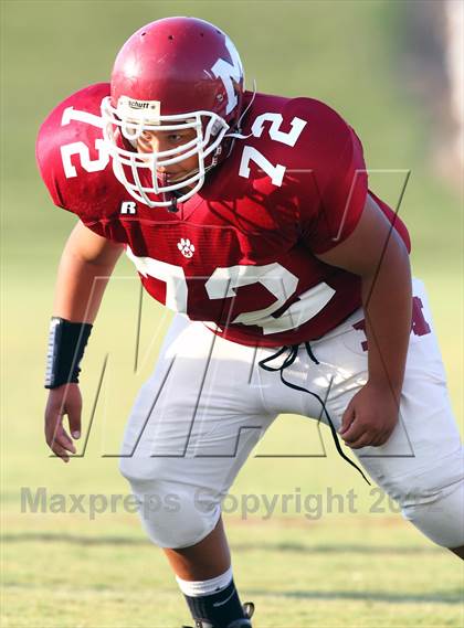 Thumbnail 3 in Covington @ Munford photogallery.
