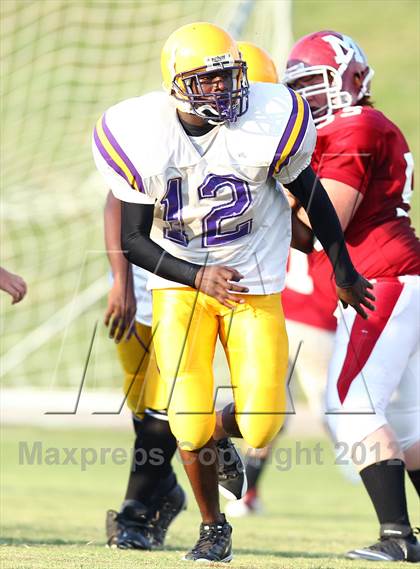 Thumbnail 1 in Covington @ Munford photogallery.