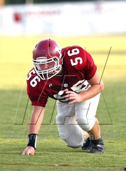 Thumbnail 2 in Covington @ Munford photogallery.