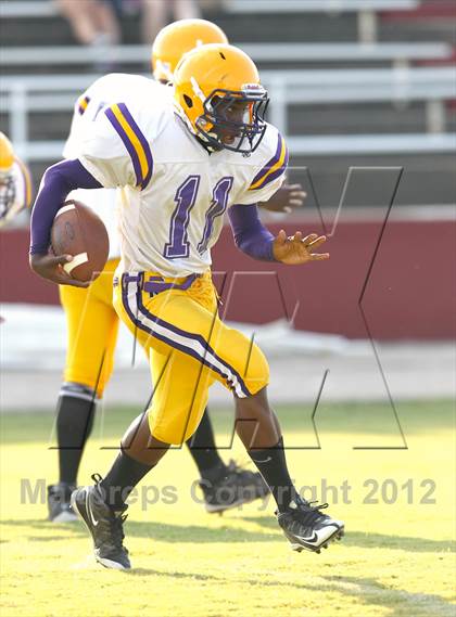Thumbnail 3 in Covington @ Munford photogallery.