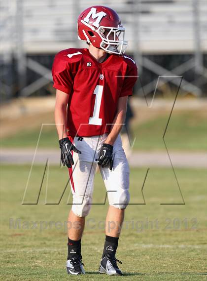 Thumbnail 2 in Covington @ Munford photogallery.