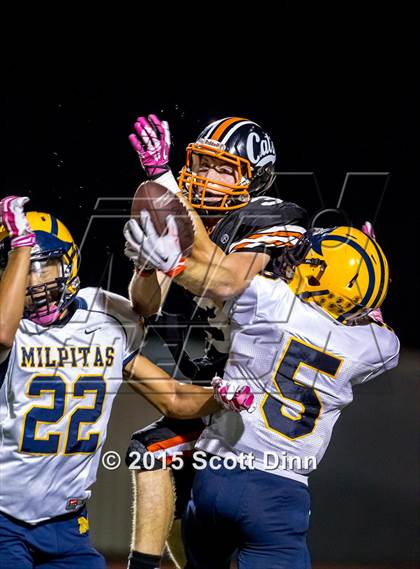Thumbnail 1 in Milpitas @ Los Gatos photogallery.