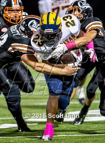 Thumbnail 1 in Milpitas @ Los Gatos photogallery.