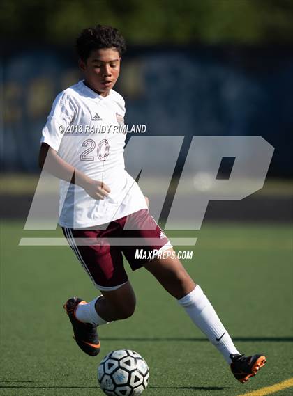 Thumbnail 1 in Jay M. Robinson @ Mallard Creek photogallery.