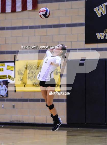 Thumbnail 2 in Cardinal Newman @ Windsor (Senior Night) photogallery.