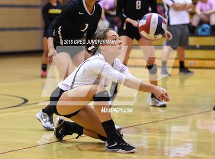 Thumbnail 2 in Cardinal Newman @ Windsor (Senior Night) photogallery.