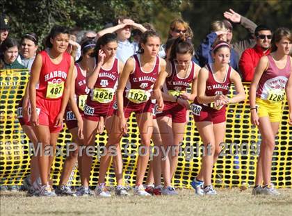 Thumbnail 1 in CIF State Cross Country Championships (D5 Girls) photogallery.