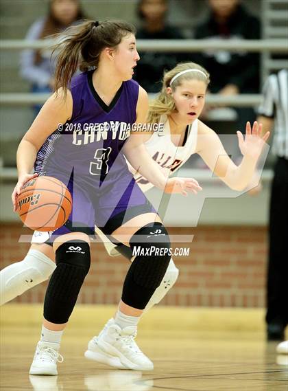 Thumbnail 3 in Allen vs. Canyon photogallery.