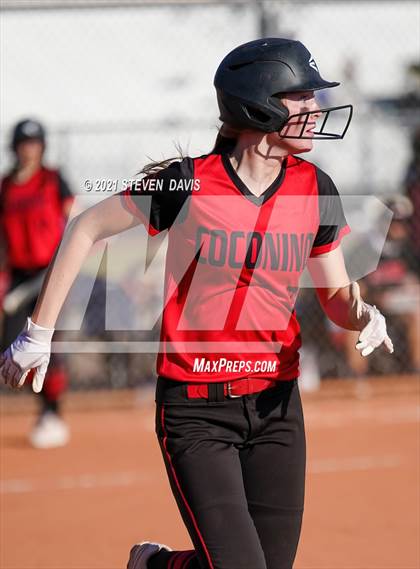 Thumbnail 3 in Coconino @ Mesquite photogallery.