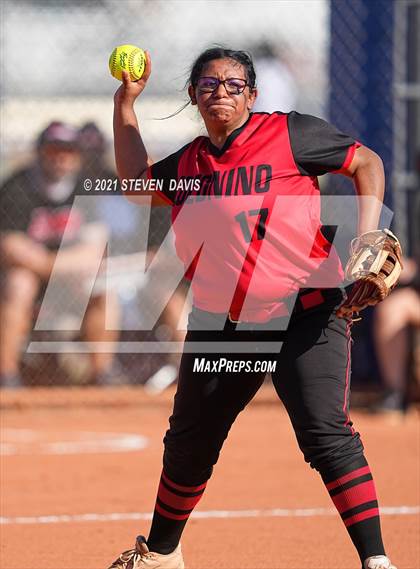 Thumbnail 2 in Coconino @ Mesquite photogallery.