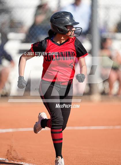 Thumbnail 3 in Coconino @ Mesquite photogallery.