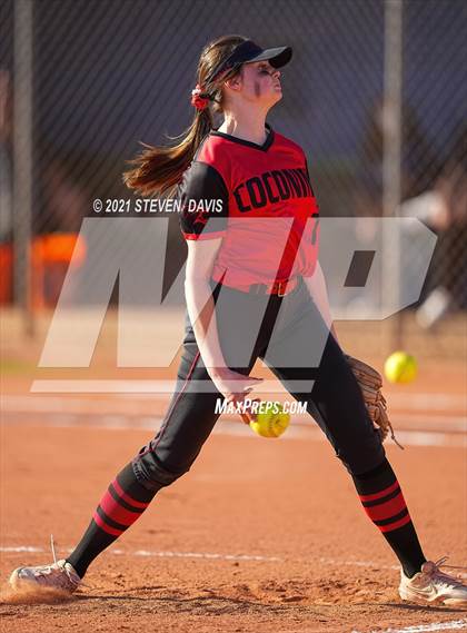 Thumbnail 1 in Coconino @ Mesquite photogallery.