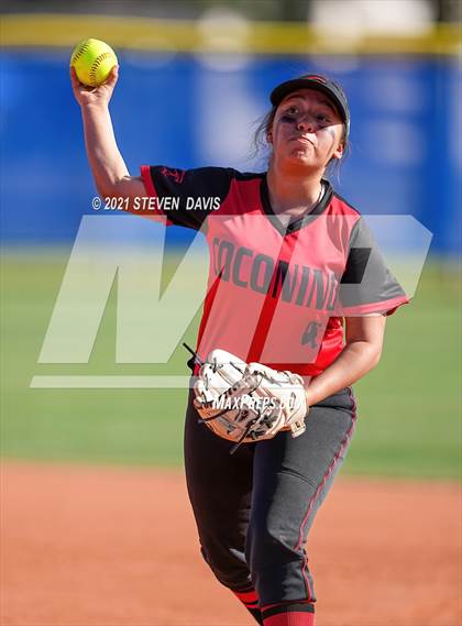 Thumbnail 3 in Coconino @ Mesquite photogallery.