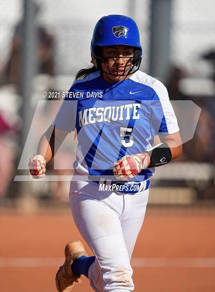 Thumbnail 2 in Coconino @ Mesquite photogallery.