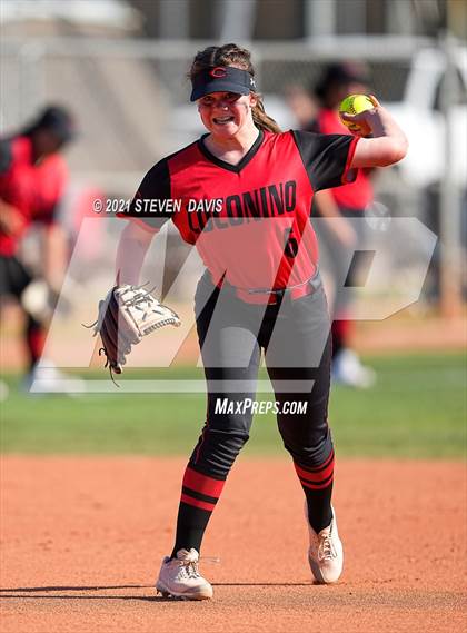 Thumbnail 1 in Coconino @ Mesquite photogallery.