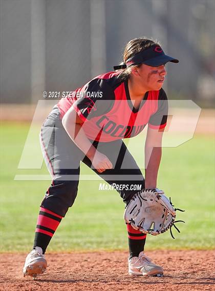 Thumbnail 1 in Coconino @ Mesquite photogallery.