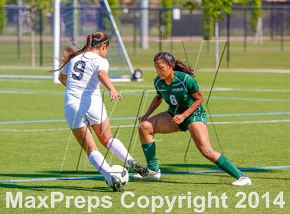 Thumbnail 2 in Franklin vs Pitman (CIF SJS D1 First Round Playoff) photogallery.