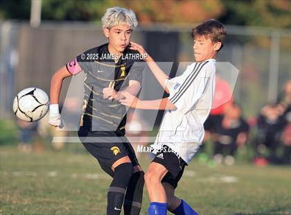 Thumbnail 2 in JV: Brockport @ Greece Athena photogallery.