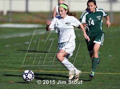 Thumbnail 2 in Enfield vs. Northwest Catholic (CIAC Class M Final) photogallery.