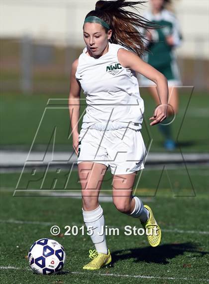 Thumbnail 3 in Enfield vs. Northwest Catholic (CIAC Class M Final) photogallery.