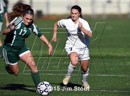 Thumbnail 1 in Enfield vs. Northwest Catholic (CIAC Class M Final) photogallery.