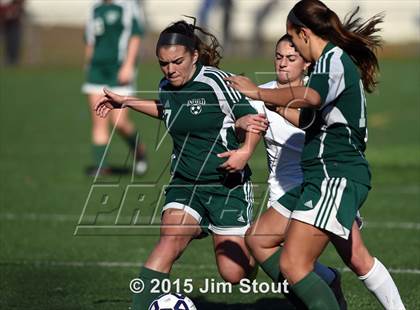Thumbnail 1 in Enfield vs. Northwest Catholic (CIAC Class M Final) photogallery.
