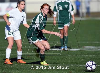 Thumbnail 1 in Enfield vs. Northwest Catholic (CIAC Class M Final) photogallery.
