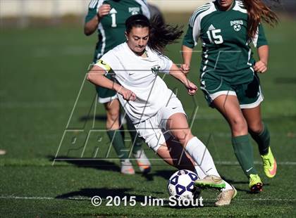 Thumbnail 1 in Enfield vs. Northwest Catholic (CIAC Class M Final) photogallery.