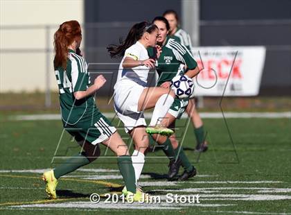 Thumbnail 1 in Enfield vs. Northwest Catholic (CIAC Class M Final) photogallery.