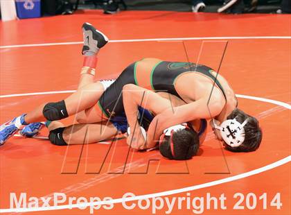 Thumbnail 3 in CIF State Wrestling Championships (Round 1) photogallery.