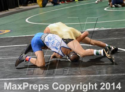 Thumbnail 3 in CIF State Wrestling Championships (Round 1) photogallery.
