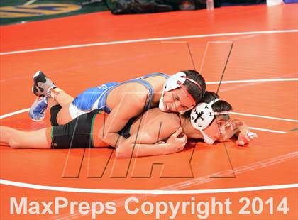 Thumbnail 3 in CIF State Wrestling Championships (Round 1) photogallery.