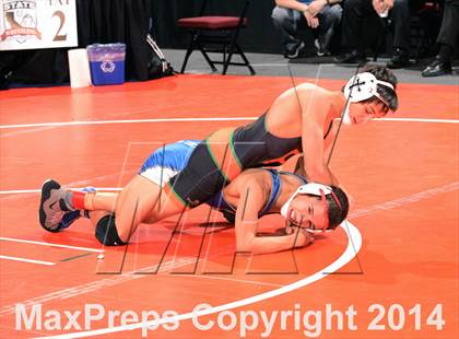 Thumbnail 3 in CIF State Wrestling Championships (Round 1) photogallery.