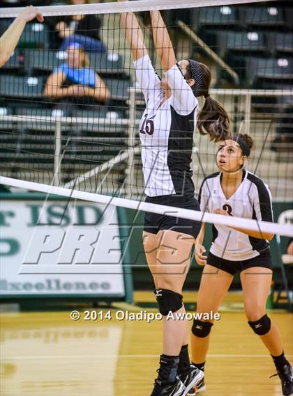 Thumbnail 2 in Wylie @ Prosper photogallery.