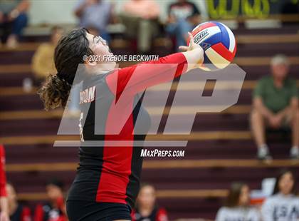 Thumbnail 1 in Trenton @ Collinsville photogallery.