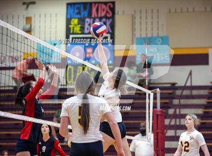 Thumbnail 3 in Trenton @ Collinsville photogallery.