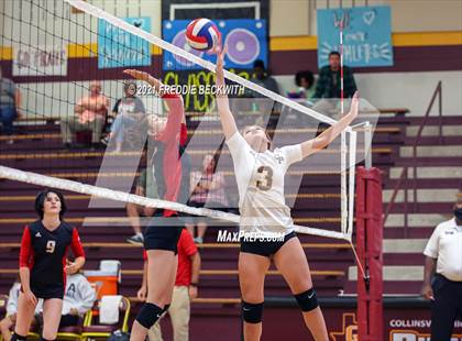 Thumbnail 2 in Trenton @ Collinsville photogallery.