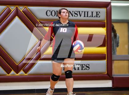 Thumbnail 1 in Trenton @ Collinsville photogallery.