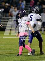 Photo from the gallery "Live Oak @ Pierce"