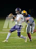 Photo from the gallery "Live Oak @ Pierce"
